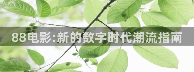 新视觉伦理影院私人家庭影院