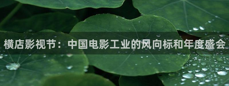 6080新视觉最新电视剧