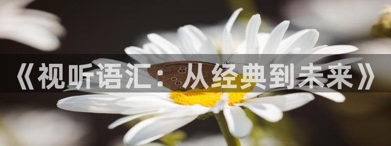 新视觉私人影院