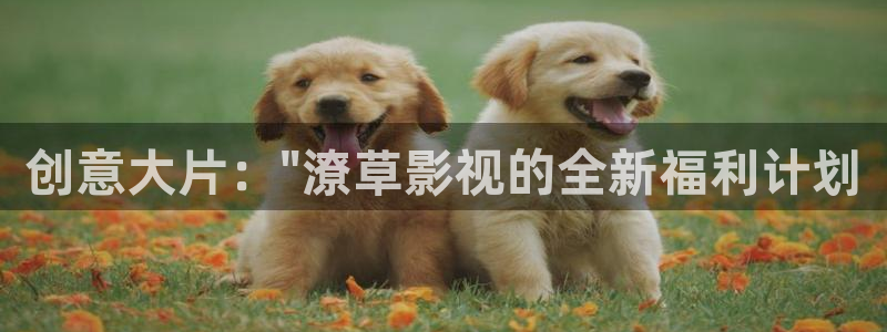 yy6080新视觉影院伦理片在线观看