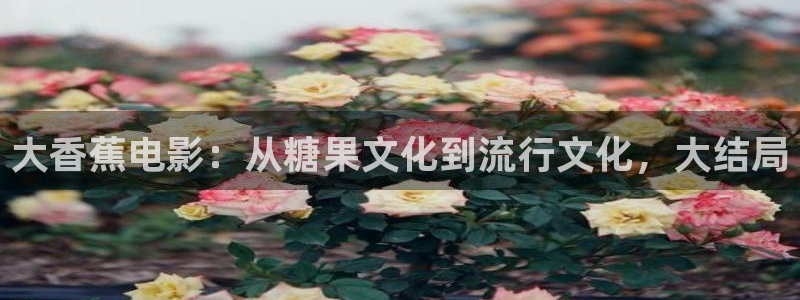 y y 6080新视觉