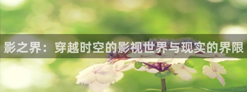 新视觉yy6080高清电视剧