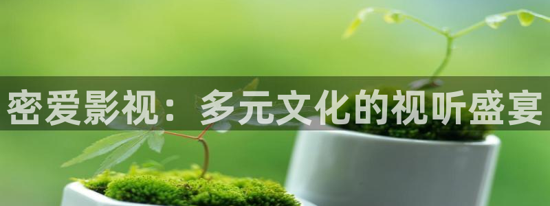 yy6080伦理新视觉影院