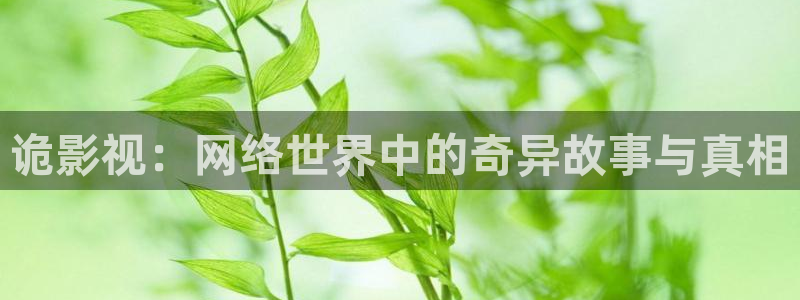 6080新视觉影视剧现在就出发