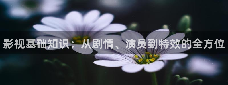 新视觉伦理6080